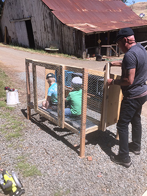 Building a chicken coop